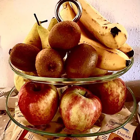 Bed & Breakfast Giardino Delle Camelie *