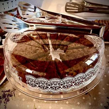 Bed & Breakfast Giardino Delle Camelie Capannori