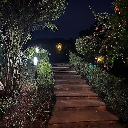 Giardino Delle Camelie