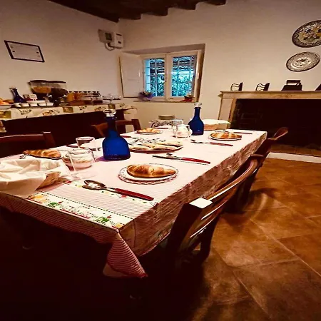 Giardino Delle Camelie Bed & Breakfast Capannori